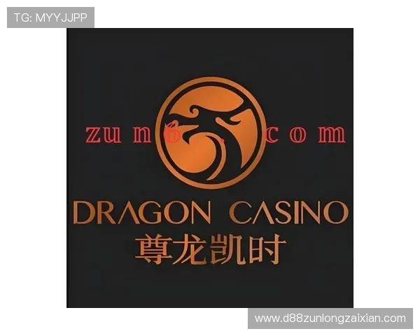 尊龙凯时完美体育百家乐官网严格的游戏规则，确保每一局游戏公平公正透明