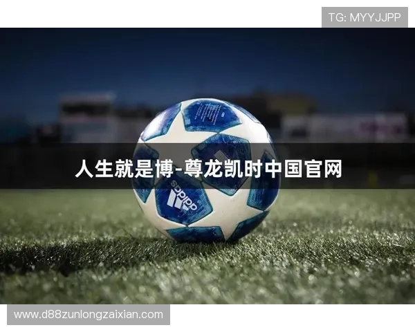尊龙时凯人生就是博官网登录：官网登录入口稳定性分析与优化建议