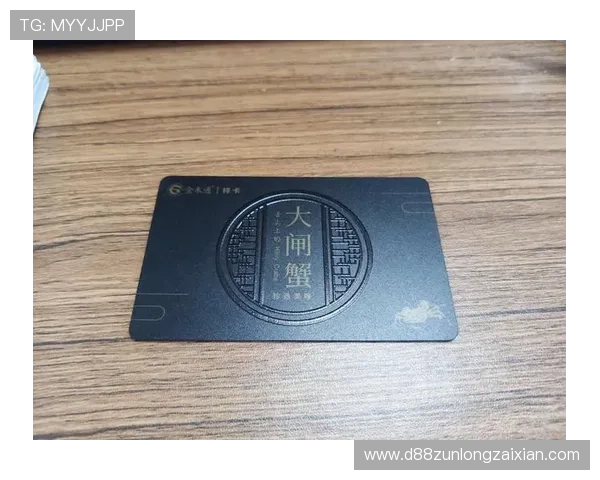 尊龙app手机版下载安装安全可靠,保障用户个人信息与资金安全
