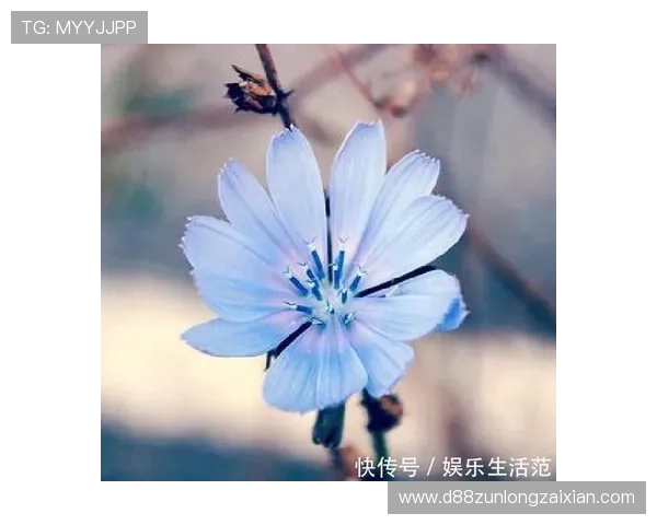 尊龙人生就是博新版带你深入了解人生哲学与智慧,开启智慧人生新篇章 尊龙人生就是博新版带你深入了解人生哲学与智慧,开启智慧人生新篇章